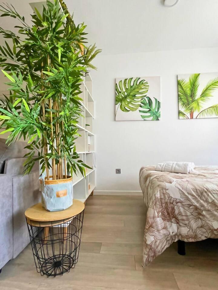 Home4U Apartamento Con Cochera 그라나다 외부 사진